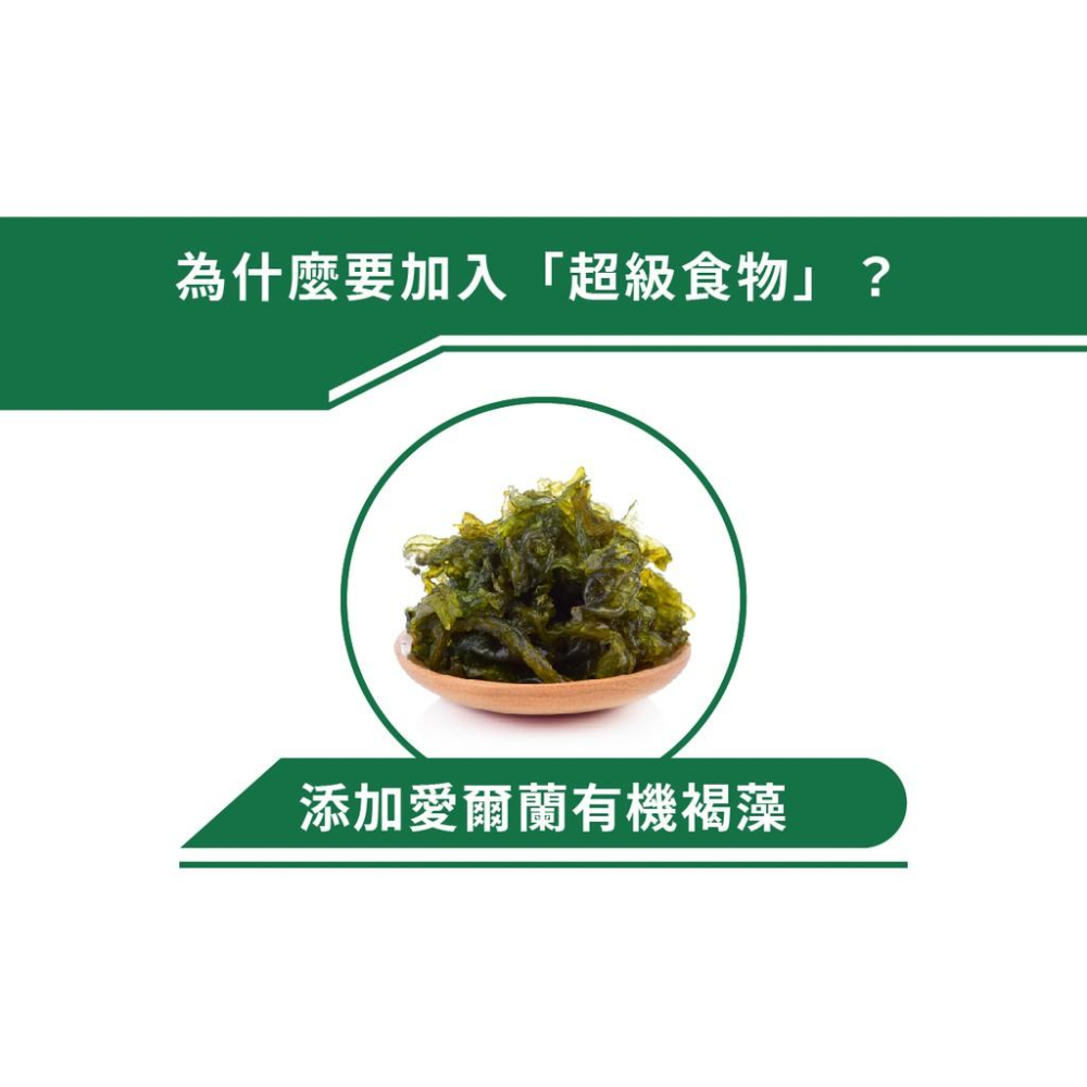 肉球雜貨舖 陪心寵糧 蒸鮮好湯主食貓罐【蒸鮮好湯主食罐(鮮雞X褐藻）】貓咪主食罐 貓主食罐 主食罐 貓罐 罐頭-細節圖2