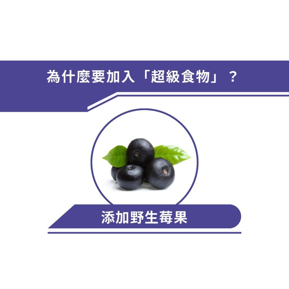 肉球雜貨舖 陪心寵糧 蒸鮮好湯主食貓罐 【雞魚X野莓】 貓咪主食罐 貓主食罐 主食罐 貓罐 罐頭 超級食材主食-細節圖2