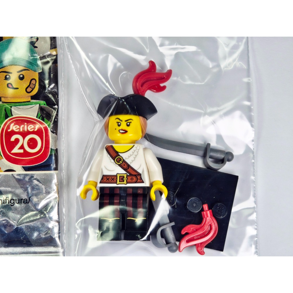 二手已組 LEGO 樂高 Minifigure 第20代人偶包 71027 5號 女海盜 Pirate Girl-細節圖2