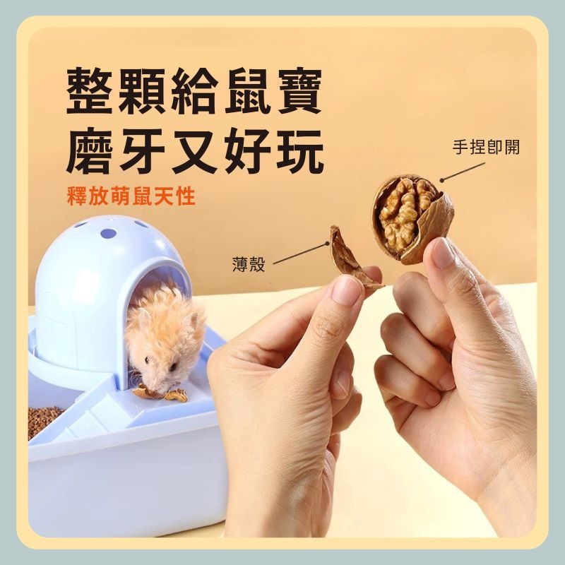 〃DEER NIU〃帶殼核桃  薄殼核桃 核桃 熟核桃 倉鼠磨牙零食 黃金鼠 三線鼠 花枝鼠-細節圖2