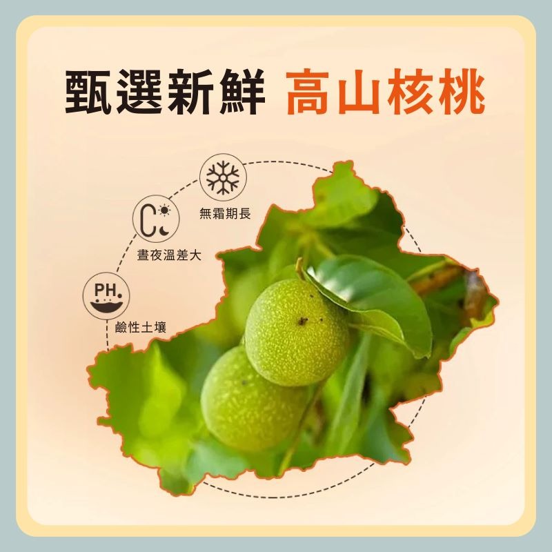 〃DEER NIU〃帶殼核桃  薄殼核桃 核桃 熟核桃 倉鼠磨牙零食 黃金鼠 三線鼠 花枝鼠-細節圖3