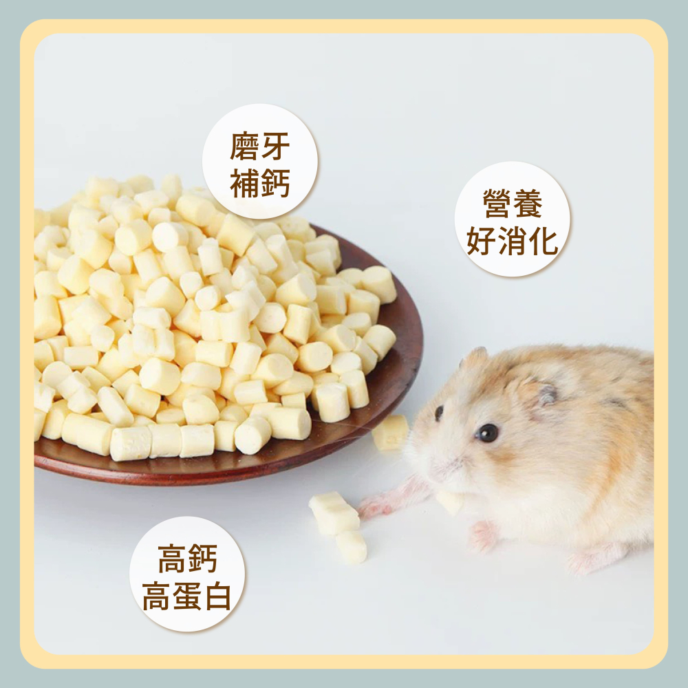〃DEER NIU〃牛乳起司顆粒 倉鼠零食 點心 三線鼠 黃金鼠 磨牙 三線鼠零食-細節圖5