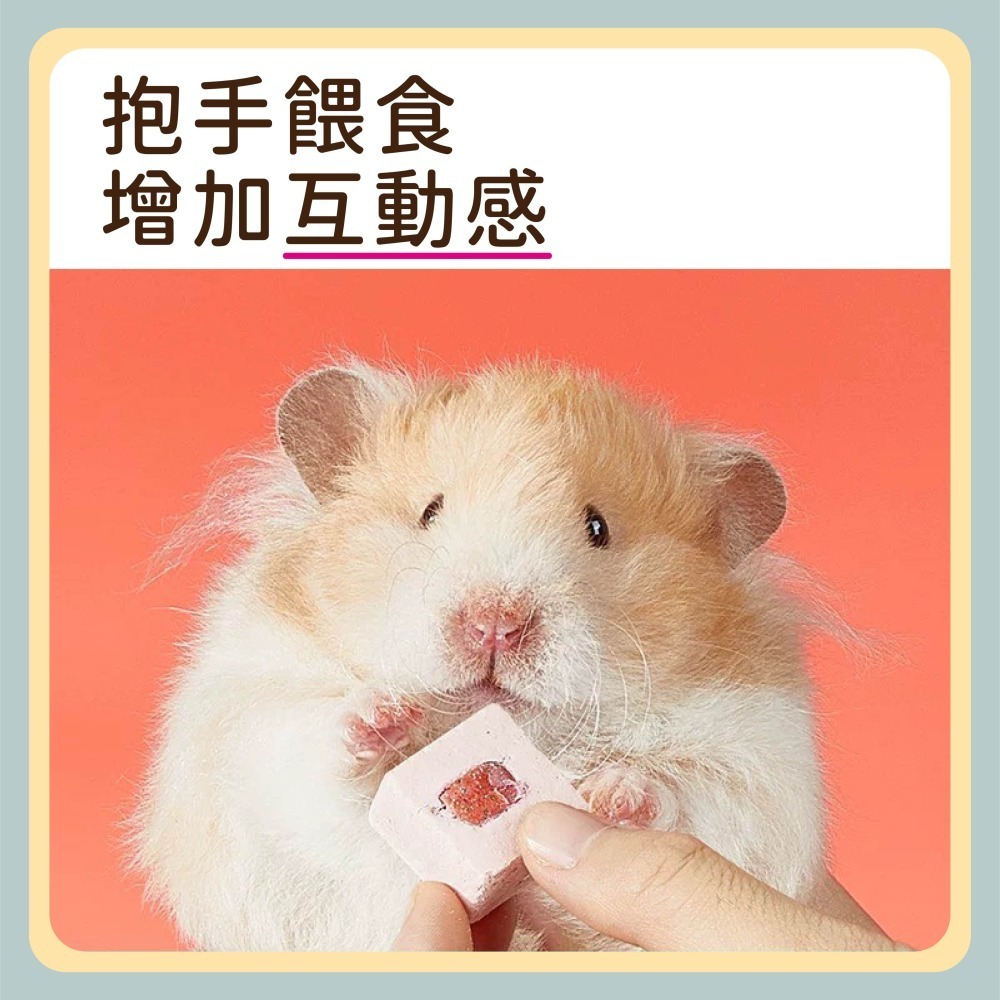 〃DEER NIU〃水果夾心酸奶凍乾 倉鼠點心 零食 水果凍乾 酸奶 草莓 山楂 三線鼠 黃金鼠-細節圖5