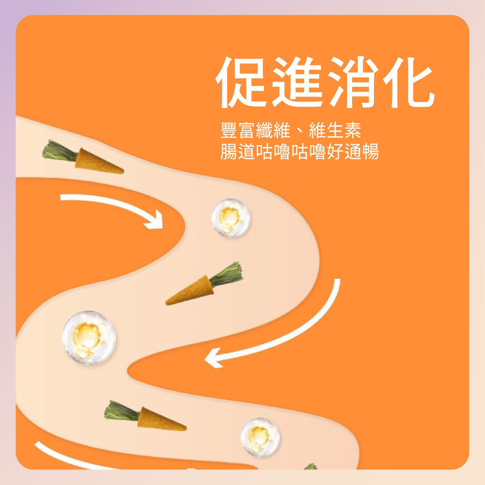 〃DEER NIU〃迷你胡蘿蔔磨牙棒 小蘿蔔 倉鼠磨牙 提摩西草 倉鼠磨牙零食 點心 小動物-細節圖2