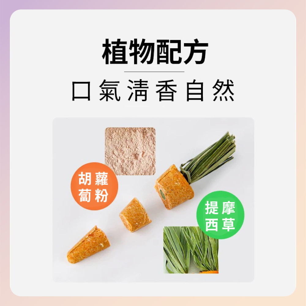 〃DEER NIU〃迷你胡蘿蔔磨牙棒 小蘿蔔 倉鼠磨牙 提摩西草 倉鼠磨牙零食 點心 小動物-細節圖3