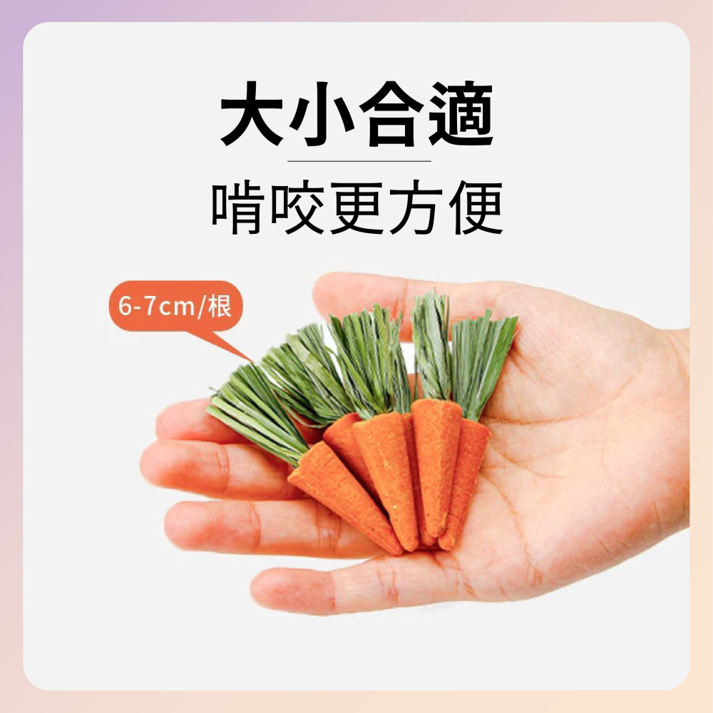 〃DEER NIU〃迷你胡蘿蔔磨牙棒 小蘿蔔 倉鼠磨牙 提摩西草 倉鼠磨牙零食 點心 小動物-細節圖4