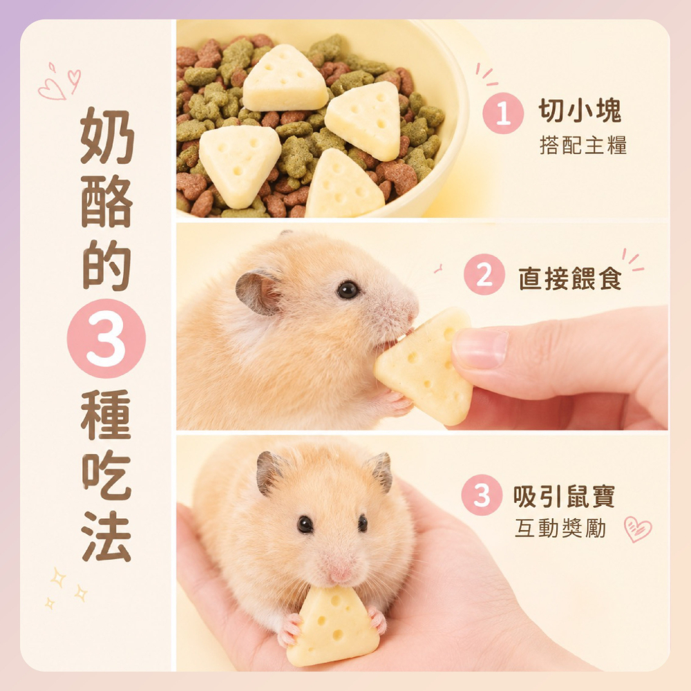 〃DEER NIU〃倉鼠芝士奶酪 三角奶酪 小寵零食  零食 互動點心 三線鼠 黃金鼠 花枝鼠-細節圖3