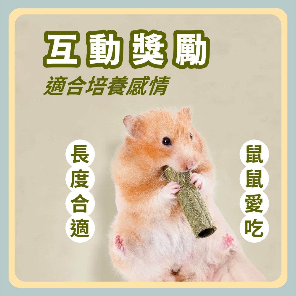 〃DEER NIU〃牧草蛋捲 脆笛酥 蒲公英 提摩西草 苜蓿草 牧草 倉鼠零食 磨牙點心 黃金鼠 兔子-細節圖6
