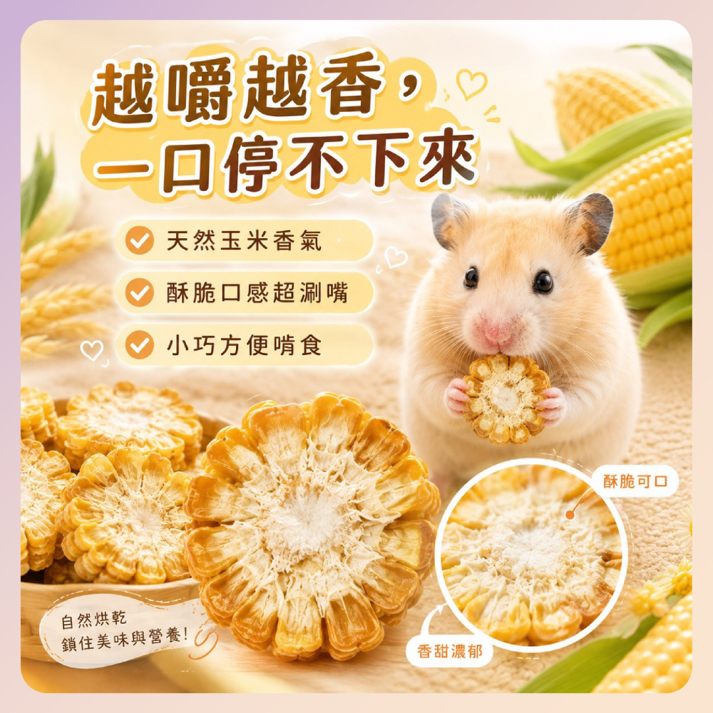 〃DEER NIU〃烘乾玉米 Canary 碳烤甜玉米 甜玉米乾 玉米乾 手工烘乾玉米 小動物零食 倉鼠點心 三線鼠-細節圖2