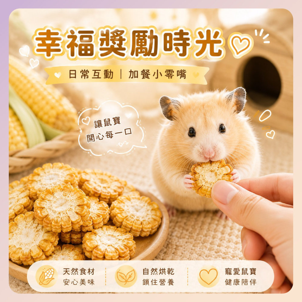 〃DEER NIU〃烘乾玉米 Canary 碳烤甜玉米 甜玉米乾 玉米乾 手工烘乾玉米 小動物零食 倉鼠點心 三線鼠-細節圖3