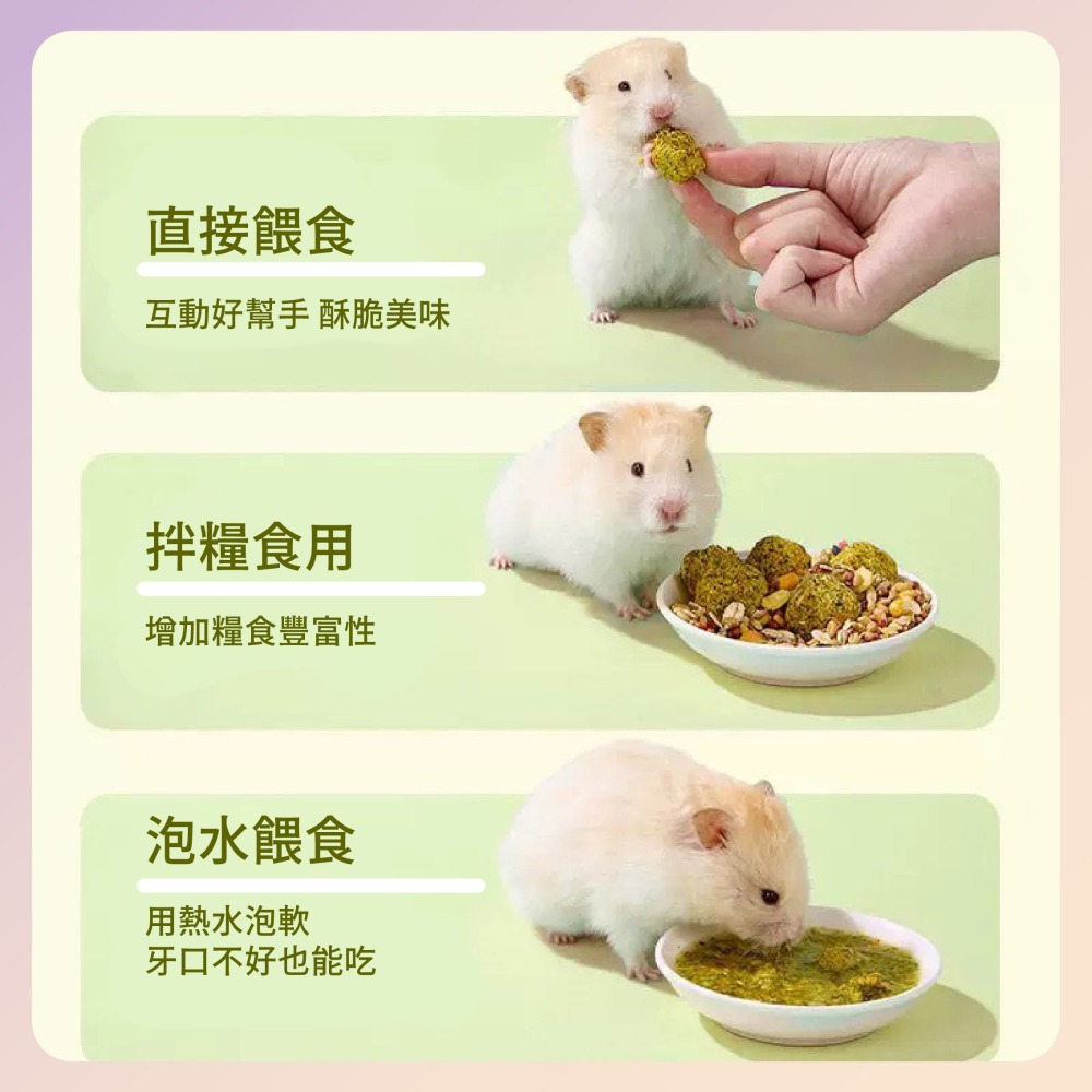 〃DEER NIU〃葫蘆巴籽凍乾球 葫蘆巴籽球 倉鼠零食 點心 黃金鼠 三線鼠 銀狐鼠 兔子 松鼠  龍貓-細節圖2