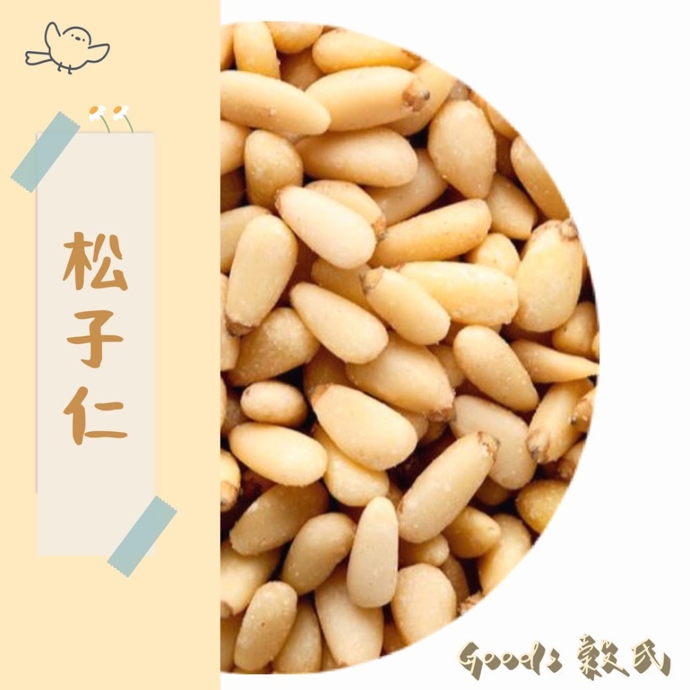 100g 1斤 松子 松子仁 生松子仁 松仁子 松仁 烘焙 無人工添加物 綜合堅果 五穀雜糧 - 小皮 - iOPEN Mall