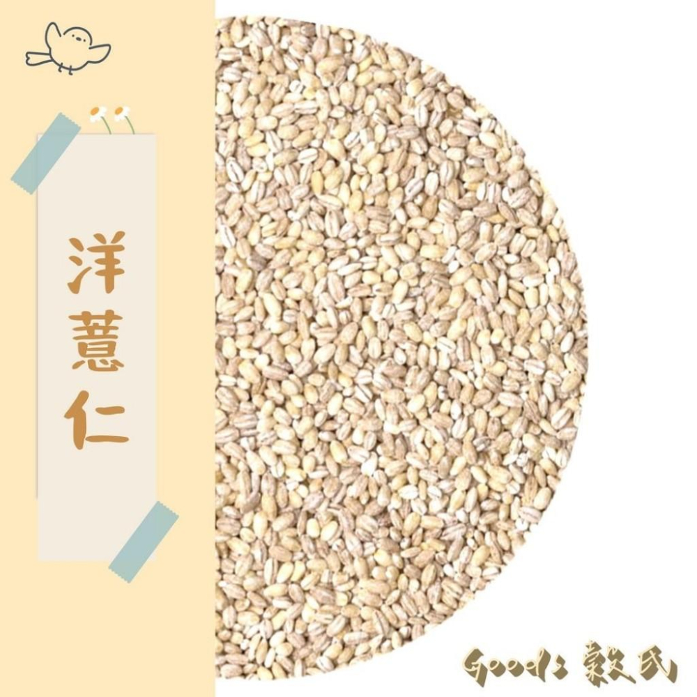 600g 1斤 洋薏仁 小薏仁 大麥仁 珍珠薏仁 薏仁 薏人 薏苡仁 五穀雜糧-細節圖2