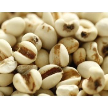600g 1斤 薏仁 大薏仁 紅薏仁 糙薏仁 白薏仁 脫心碎薏仁 薏苡 薏仁米 五穀雜糧-細節圖2