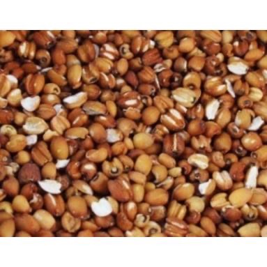 600g 1斤 薏仁 大薏仁 紅薏仁 糙薏仁 白薏仁 脫心碎薏仁 薏苡 薏仁米 五穀雜糧-細節圖4