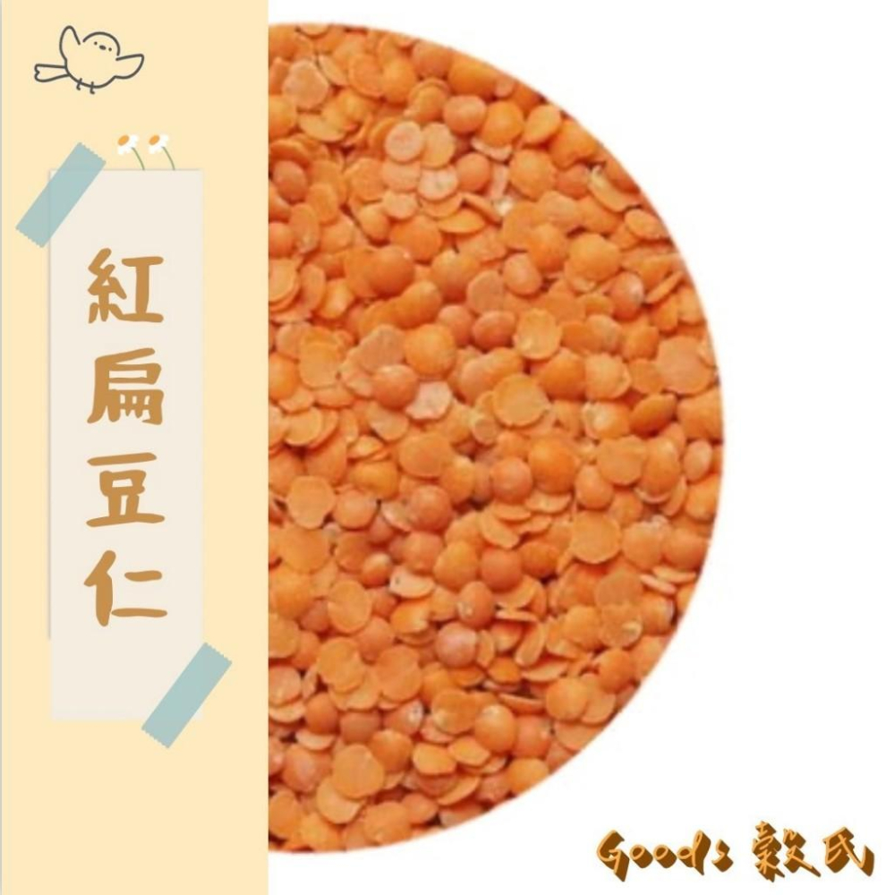 600g 1斤 紅扁豆 小扁豆 小橘豆 橘色的豆 連度豆 扁豆 加拿大 五穀雜糧-細節圖2