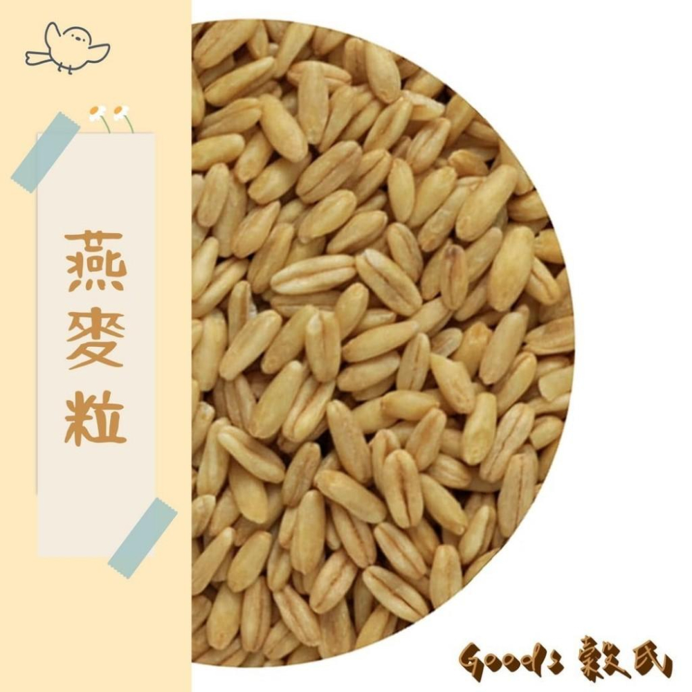600g 1斤 燕麥粒 澳洲燕麥 燕麥粥 燕麥飯 燕麥仁 膳食纖維 五穀雜糧-細節圖2