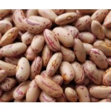 600g 1斤 紅花豆 胖奶豆 虎豆 荷包豆 大紅豆 花雲豆  花仔豆 紅花菜豆  八寶 五穀雜糧-細節圖2