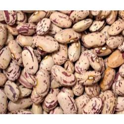 600g 1斤 紅花豆 胖奶豆 虎豆 荷包豆 大紅豆 花雲豆  花仔豆 紅花菜豆  八寶 五穀雜糧-細節圖3