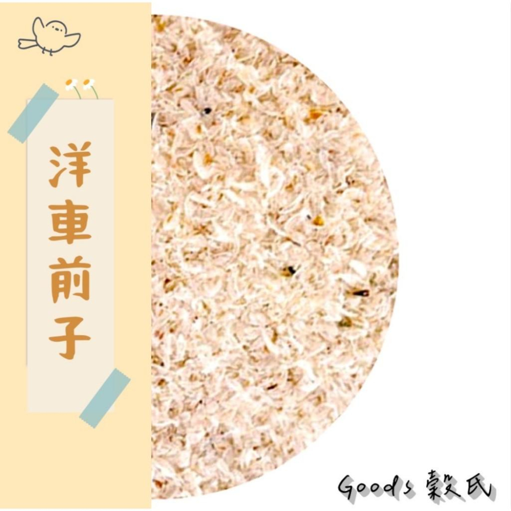 300g 洋車前子殼是殼哦 洋車前子殼 車前子粉 膳食纖維 飽足感 沖泡茶飲 植物纖維 五穀雜糧-細節圖3