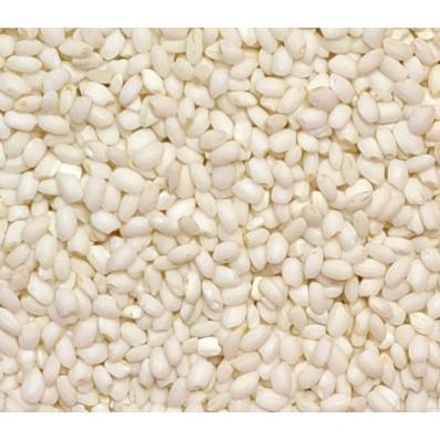 600g 1斤 白糯米 圓糯米 長糯米 真空包裝 粽子 粽子 端午節 油飯 軟軟糯糯 台灣長糯 糯米-細節圖2