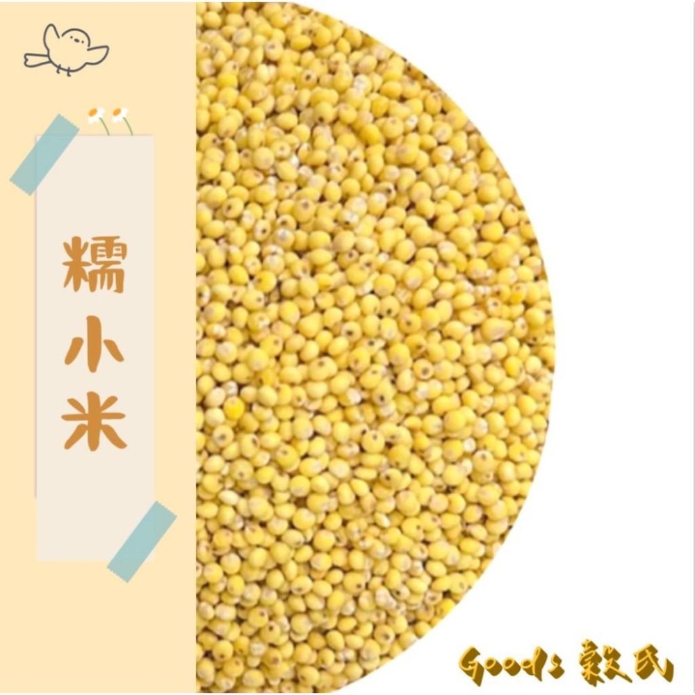 600g 1斤 糯小米 小米仁 諾小米 小米粥 小黃米 糜子 甜粥 五穀雜糧-細節圖3