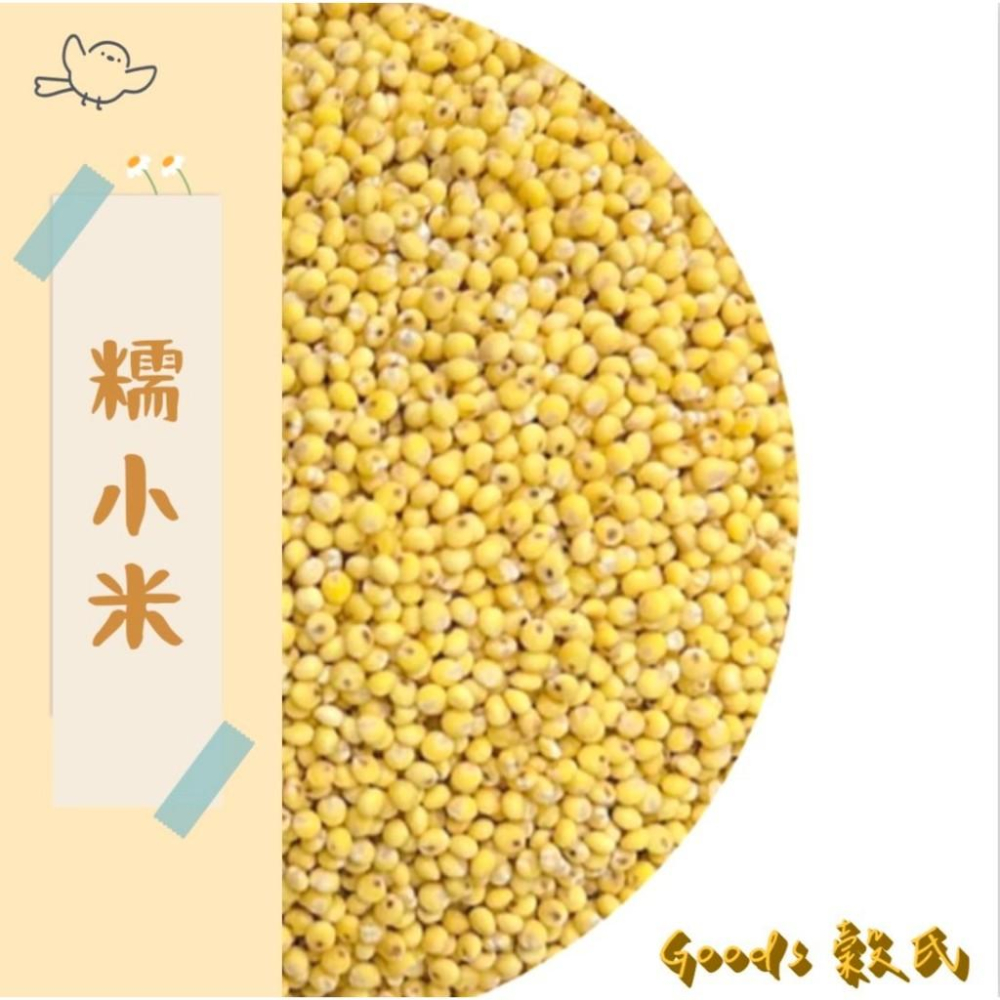 600g 1斤 糯小米 小米仁 諾小米 小米粥 小黃米 糜子 甜粥 五穀雜糧-細節圖2