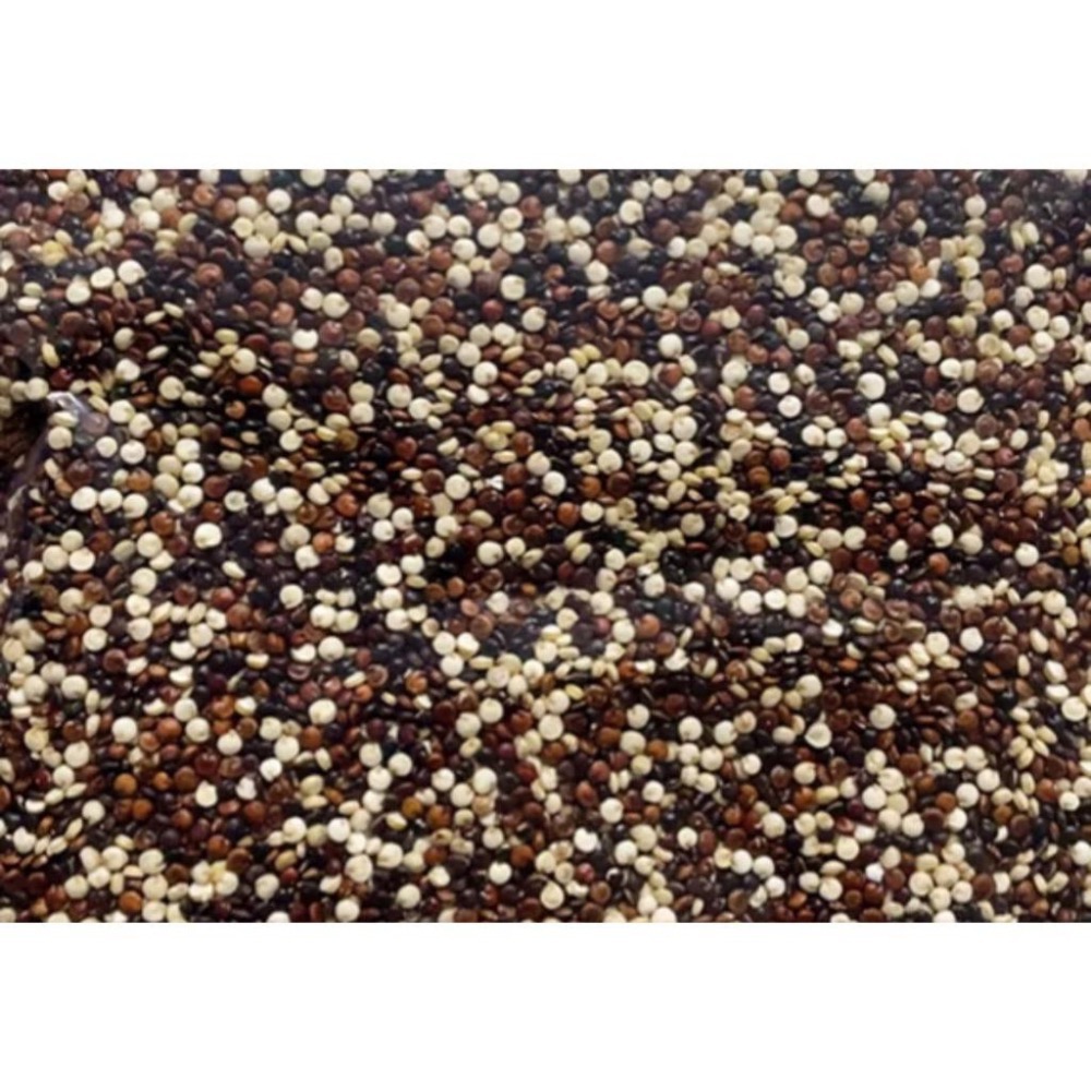 600g 1斤 藜麥 三色藜麥 黑藜麥 白藜麥 紅藜麥 印地安麥 昆諾阿藜 奎藜 綜合堅果 五穀雜糧-細節圖2