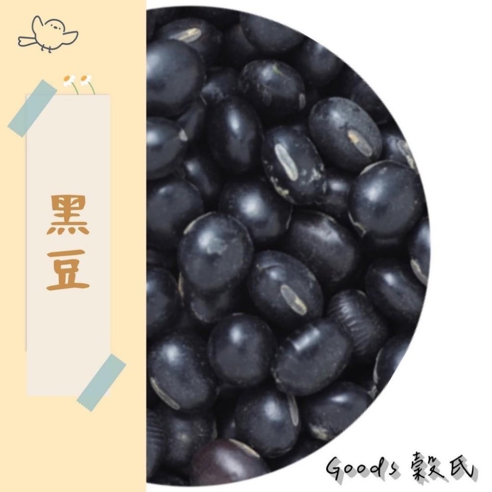 600g 1斤 黑豆 青仁黑豆 黑豆 精選黑豆 黑豆水 黑豆茶 黑豆漿 五穀雜糧-細節圖2