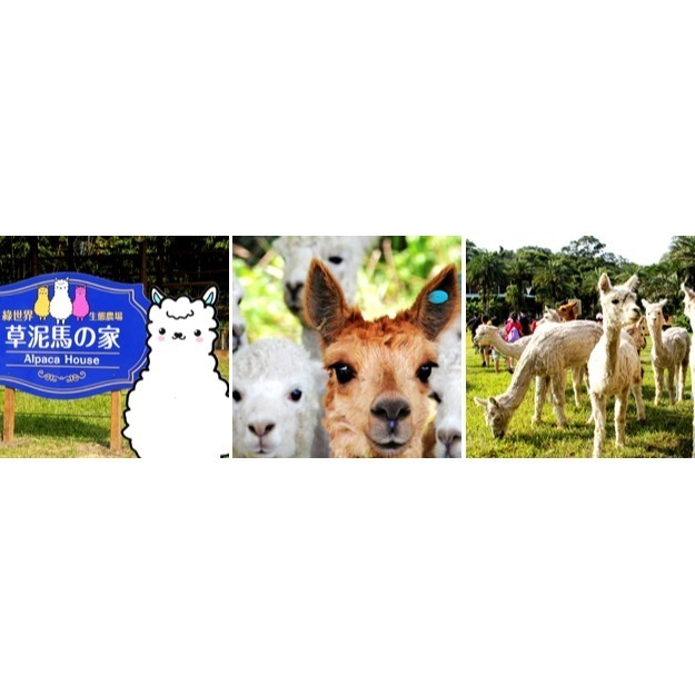 可雅【綠世界生態農場】優惠票(板橋，新莊，中壢可面交，購買前請加官賴:@iop99000詢問)-細節圖3