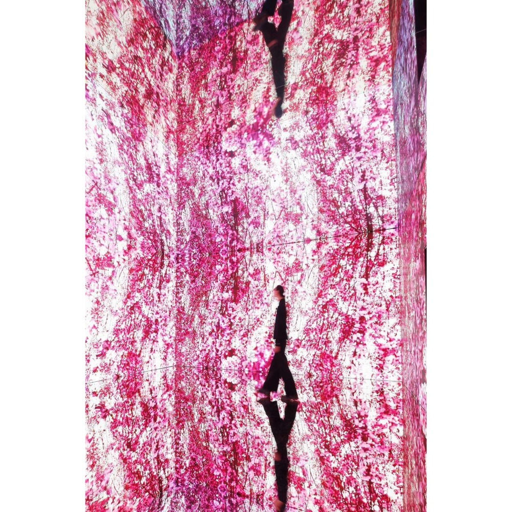 可雅【蜷川實花展 with EiM：彼岸之光，此岸之影】期限短無法超商出貨，購買前請加官賴:@iop99000-細節圖2