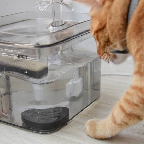 貓奴小舖Maonu Shop🐈 ParkCat 喝水好喵招 飲水活性碳 淨化水質-細節圖4