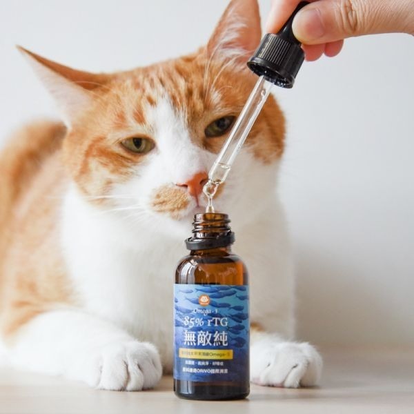 貓奴小舖Maonu Shop🐈 ParkCat 85%無敵純 專利萃取rTG高濃度魚油 30ml 貓 狗-細節圖3