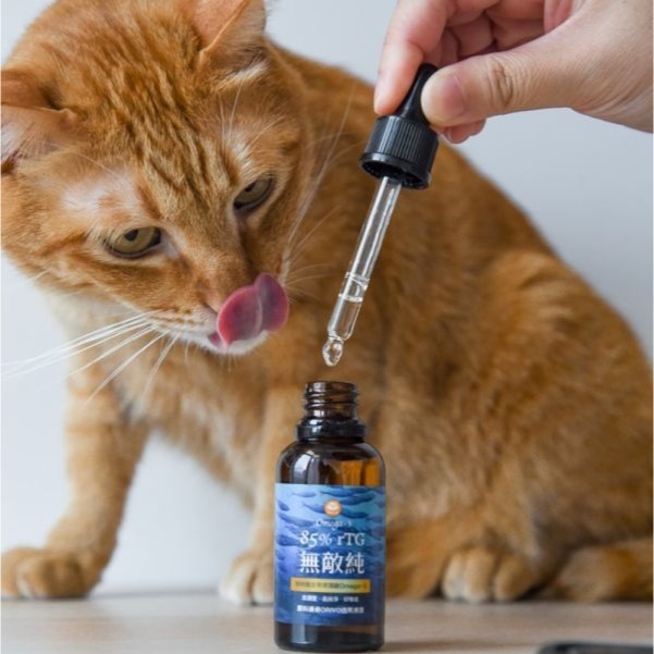 貓奴小舖Maonu Shop🐈 ParkCat 85%無敵純 專利萃取rTG高濃度魚油 30ml 貓 狗-細節圖4