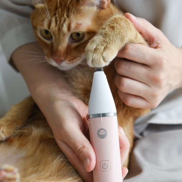 貓奴小舖Maonu Shop🐈 ParkCat 安心剃 美掌機 四合一剃毛器 剃毛 腳底毛 貓 狗-細節圖3