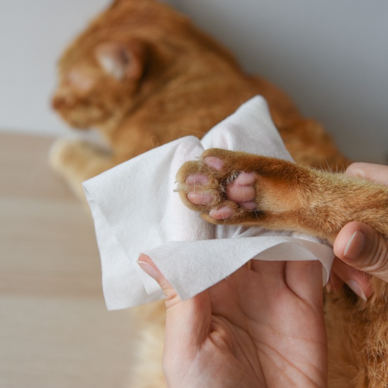 貓奴小舖Maonu Shop🐈 ParkCat 超厚水嫩巾 天然抑菌寵物濕紙巾 乾洗澡 貓 狗 50抽-細節圖2