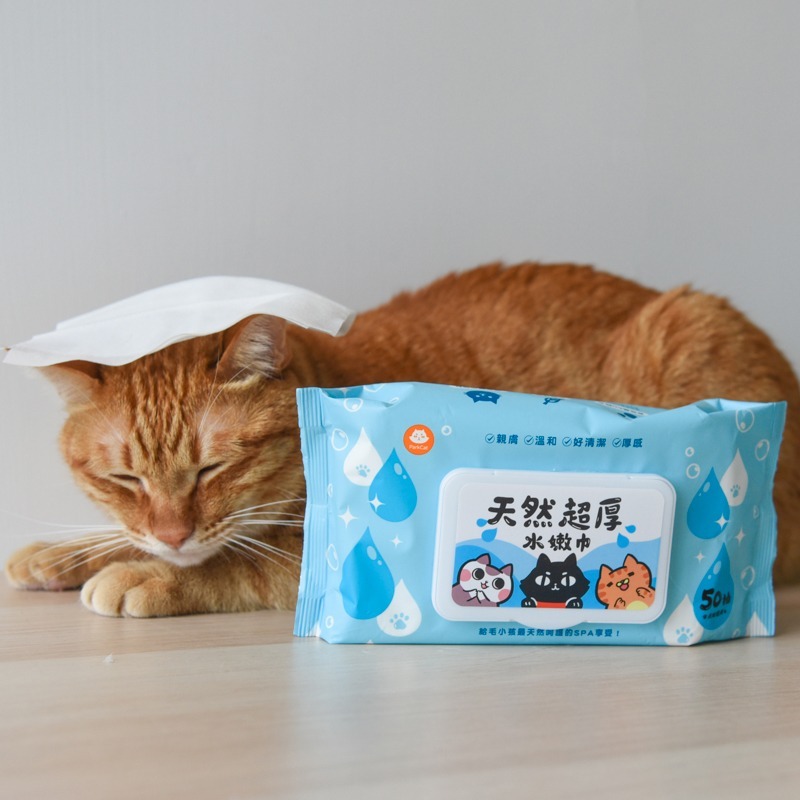 貓奴小舖Maonu Shop🐈 ParkCat 超厚水嫩巾 天然抑菌寵物濕紙巾 乾洗澡 貓 狗 50抽-細節圖4