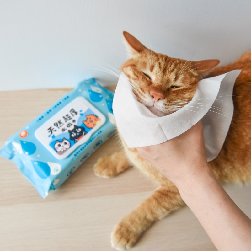 貓奴小舖Maonu Shop🐈 ParkCat 超厚水嫩巾 天然抑菌寵物濕紙巾 乾洗澡 貓 狗 50抽-細節圖7