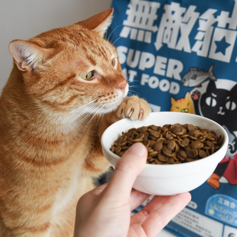 貓奴小舖Maonu Shop🐈 ParkCat 無敵貓糧 大洋鮮極魚 貓主食 貓飼料-細節圖4