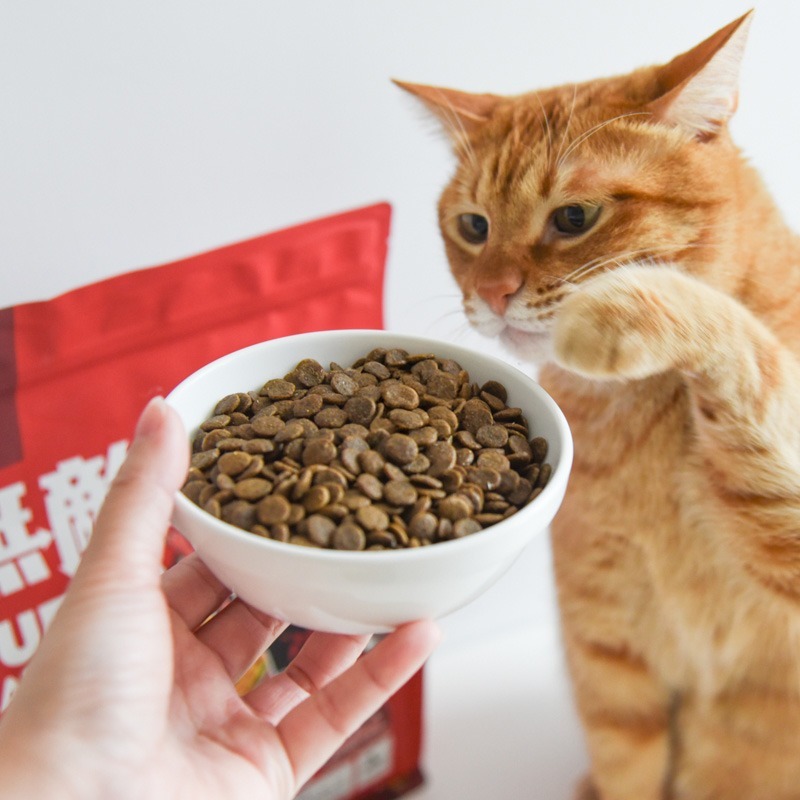 貓奴小舖Maonu Shop🐈 ParkCat 無敵貓糧 動力火雞鹿 貓飼料 飼料 乾乾-細節圖4