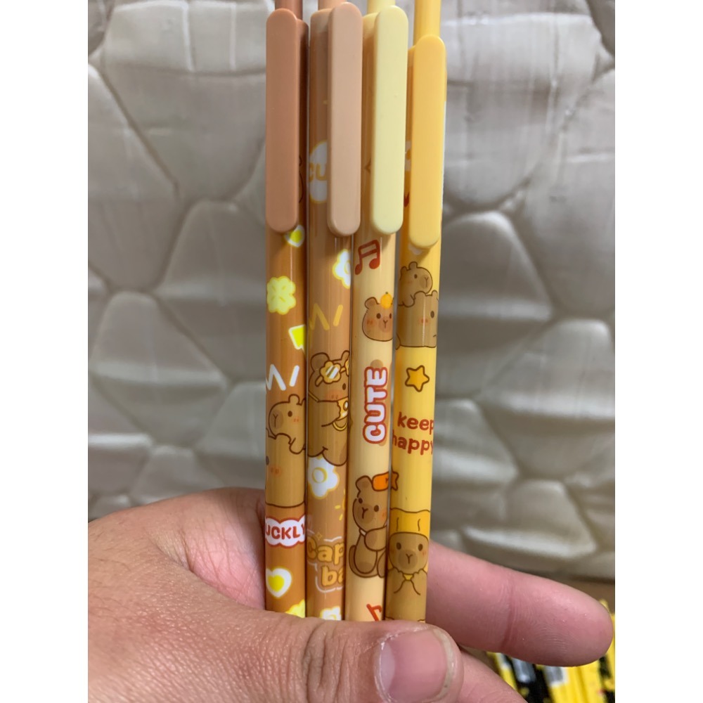 卡皮巴拉 隨機一支