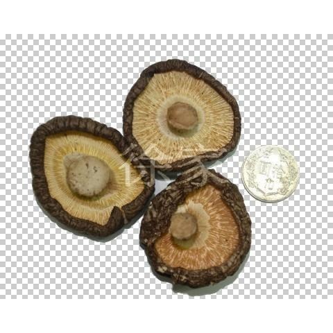 正2026年冬菇  徐家香菇 厚肉大冬菇  無農藥 乾香菇 香菇-細節圖5