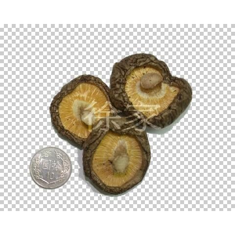 2026年冬菇  徐家香菇 大中菇 無農藥 乾香菇 香菇-細節圖5