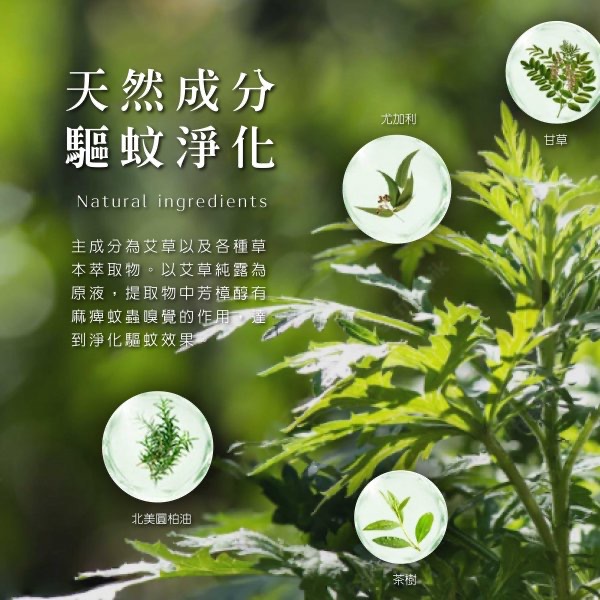 KS040 雙效 艾草淨化噴霧100ML-細節圖2