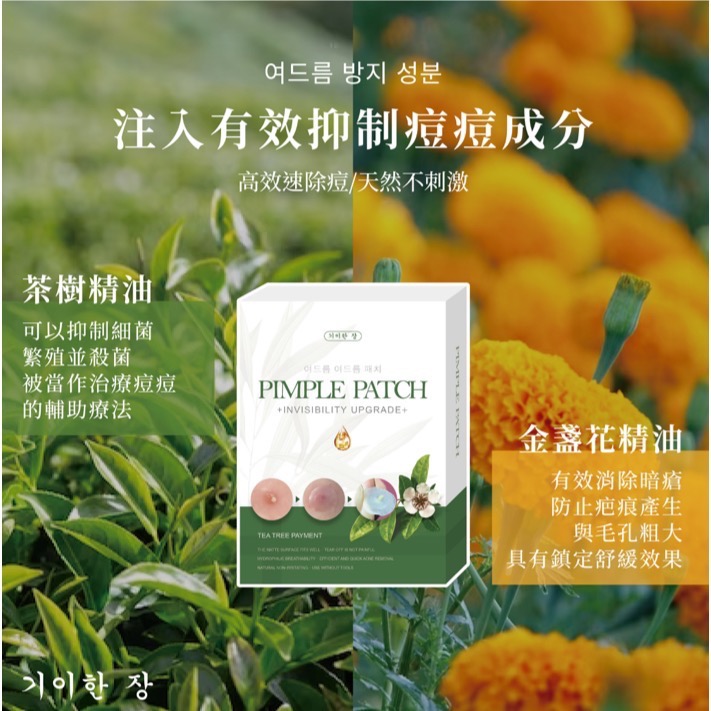 KSB016 韓國奇麗庄-隱形茶樹油淨痘貼-細節圖2