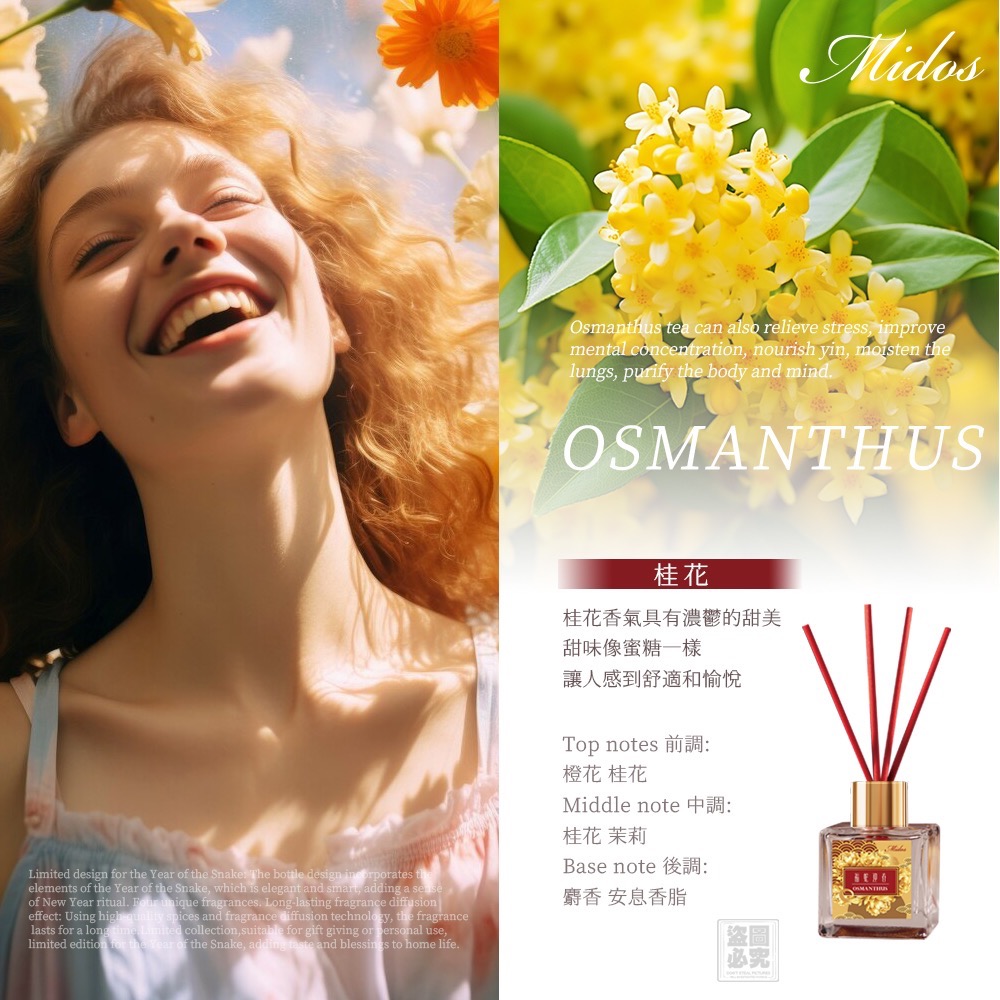 KS226-Midos 蛇年限定 無火持久擴香瓶3入組(3香味各1)-細節圖4