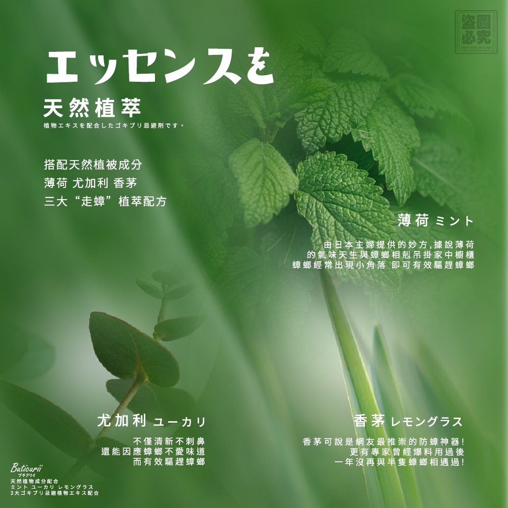 KS092 Buticurii-99日走蟑掛片-細節圖2