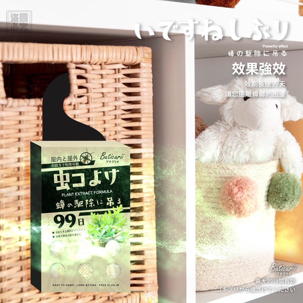 KS092 Buticurii-99日走蟑掛片-細節圖3