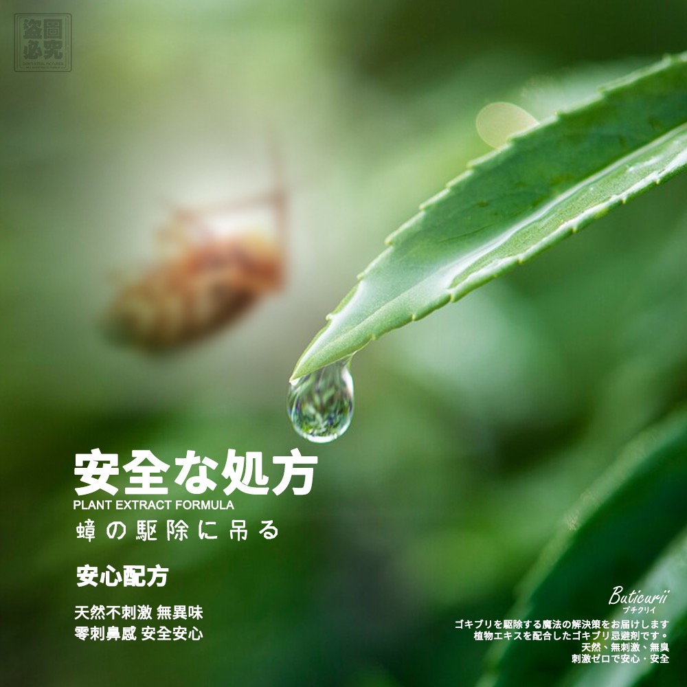 KS092 Buticurii-99日走蟑掛片-細節圖4