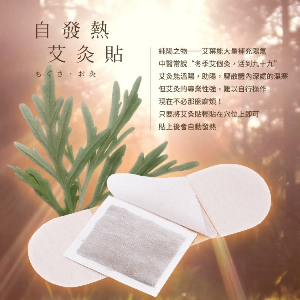 KS052 淨森堂 溫感艾灸貼 10片入  2盒/組-細節圖3